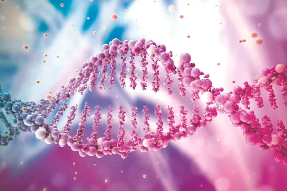 Logran secuenciar por primera vez un genoma humano completo