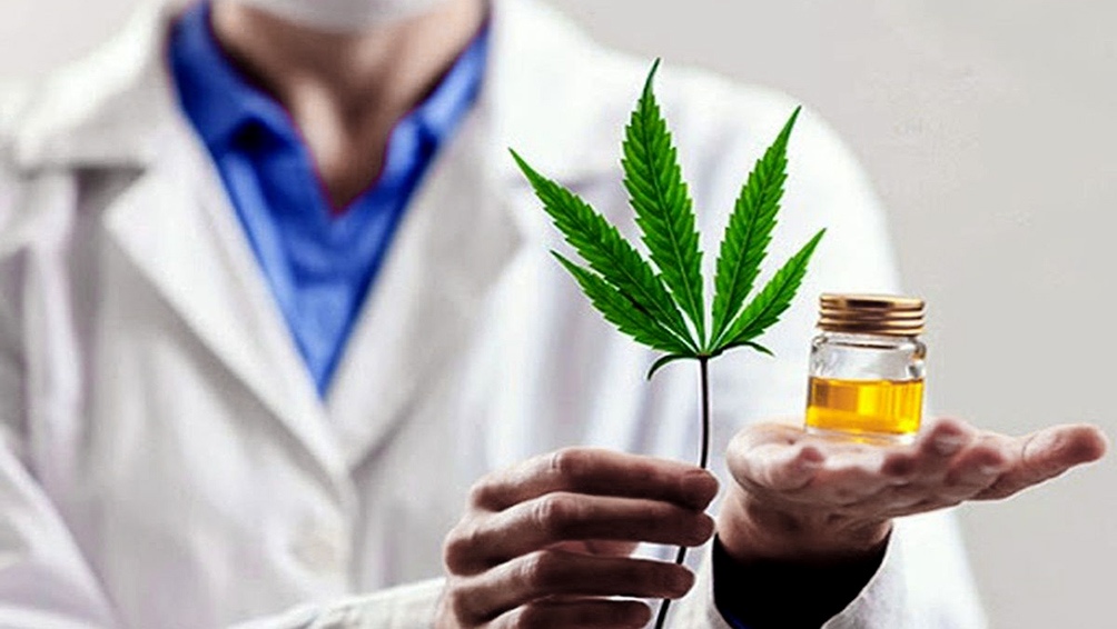 Financian investigación en La Pampa vinculada al cannabis medicinal