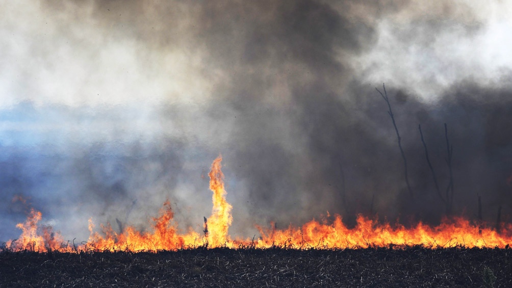 Despliegan más brigadistas y lanchas para combatir los incendios forestales en el delta del Paraná