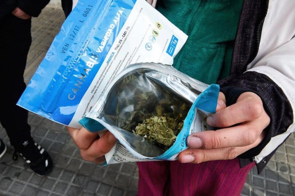 Uruguay: el Gobierno evalúa vender marihuana a los turistas