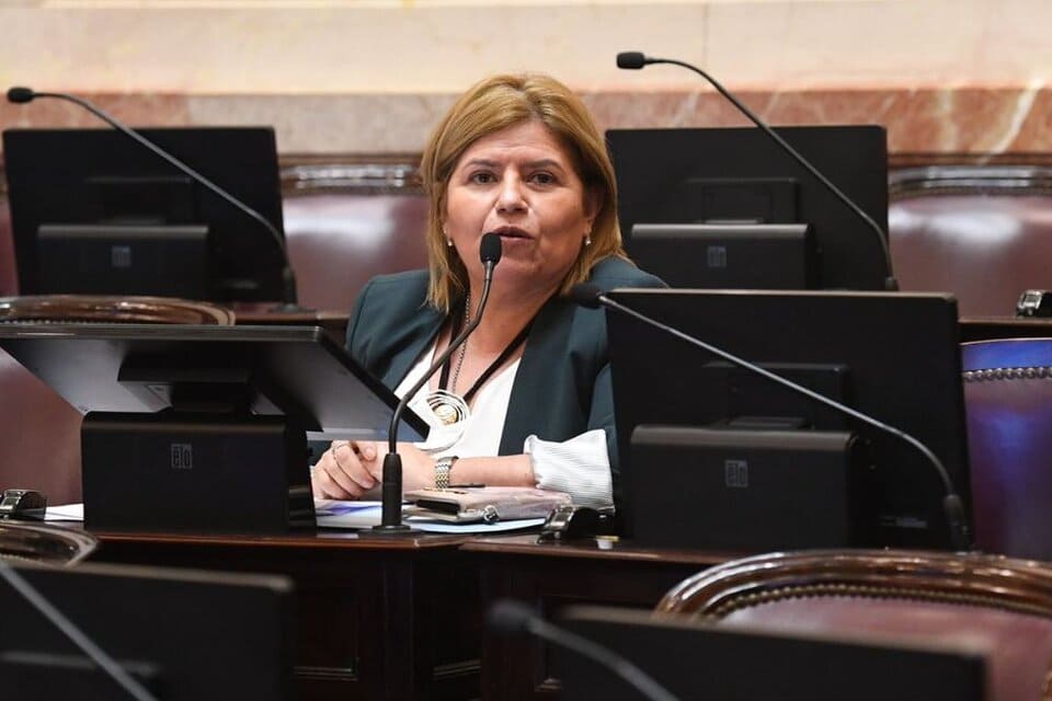 La senadora Clara Vega le respondió a Mauricio Macri: «Se cree superior a las mujeres»