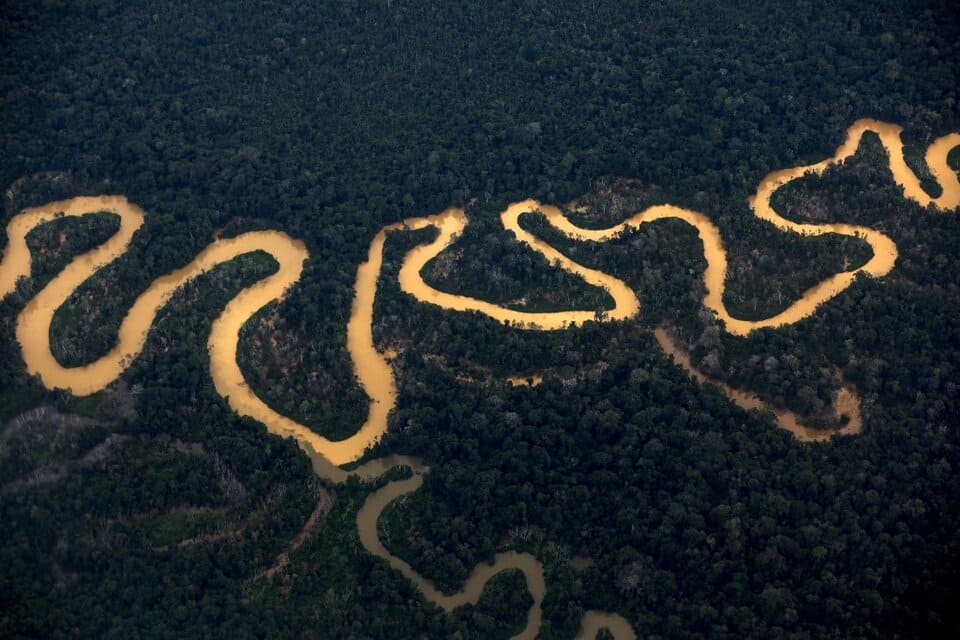 Deforestación en tierra indígena yanomami cae un 95% en los primeros meses del año