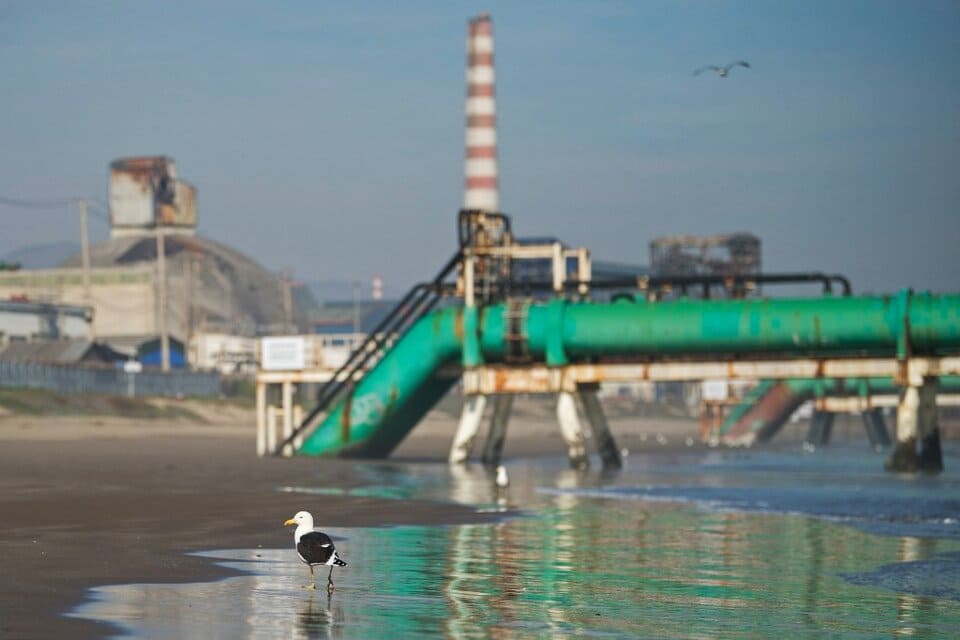 Otra masiva intoxicación por la contaminación en el Chernóbil chileno  